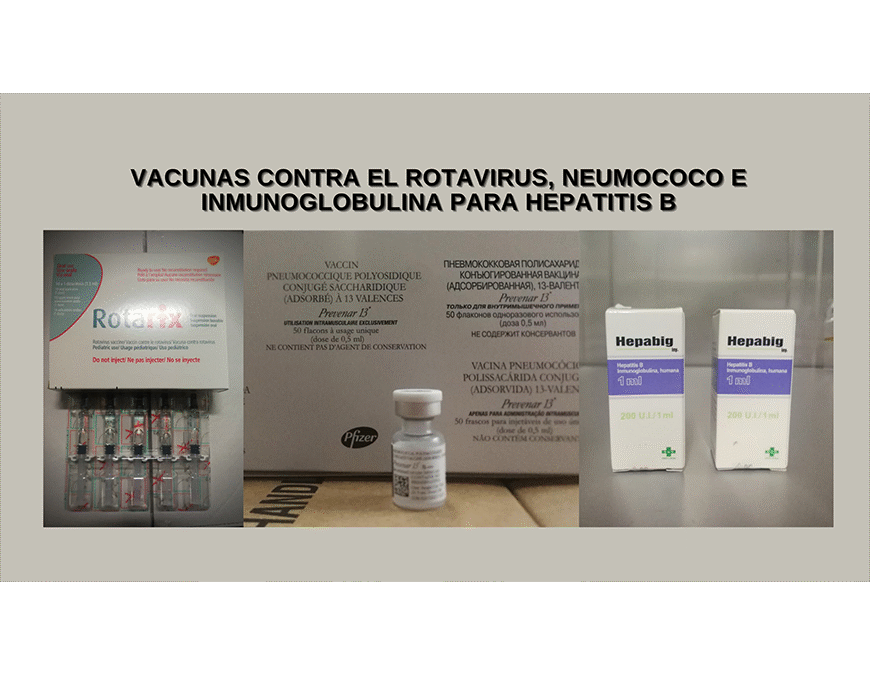 Llegaron vacunas contra el neumococo, rotavirus e inmunoglobulina antihepatitis B