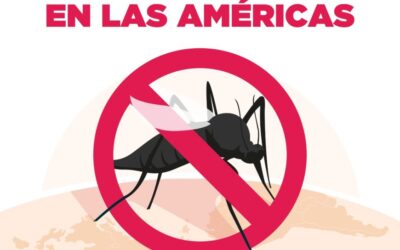 Paraguay libre de malaria desde hace 14 años
