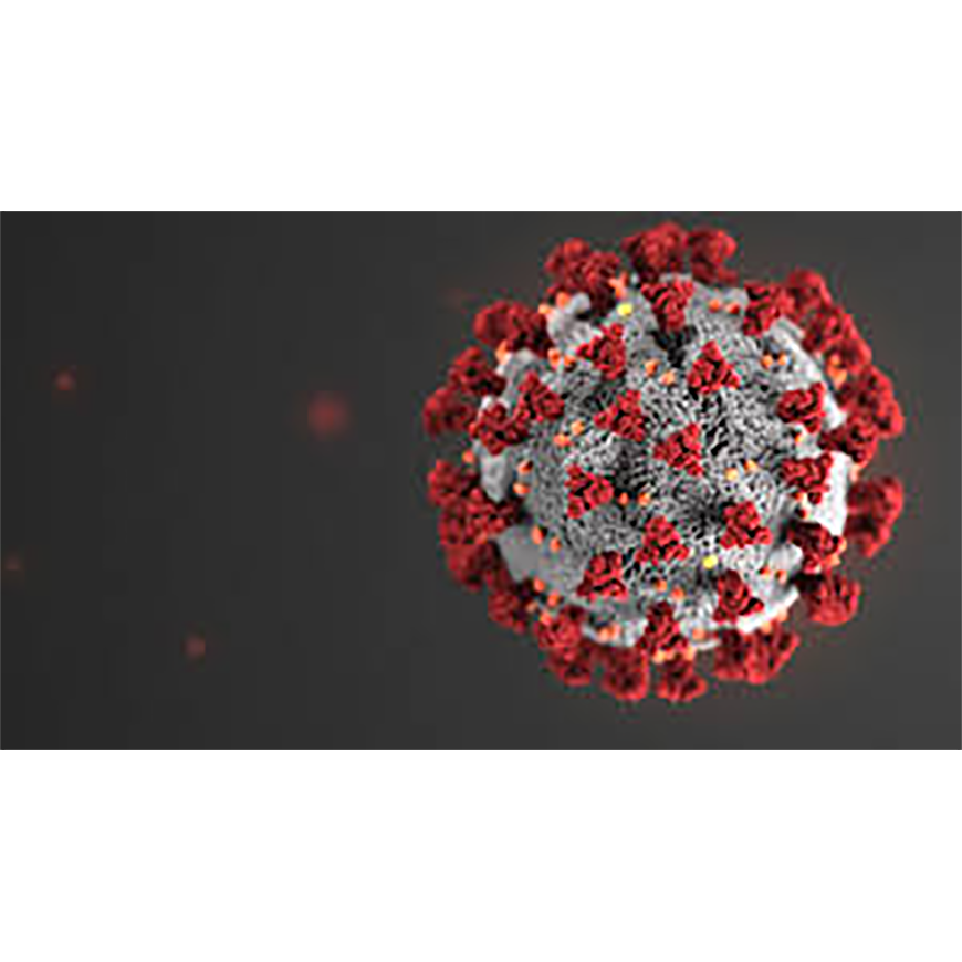Existe la posibilidad de una reinfección por COVID-19 – 05-11-2020