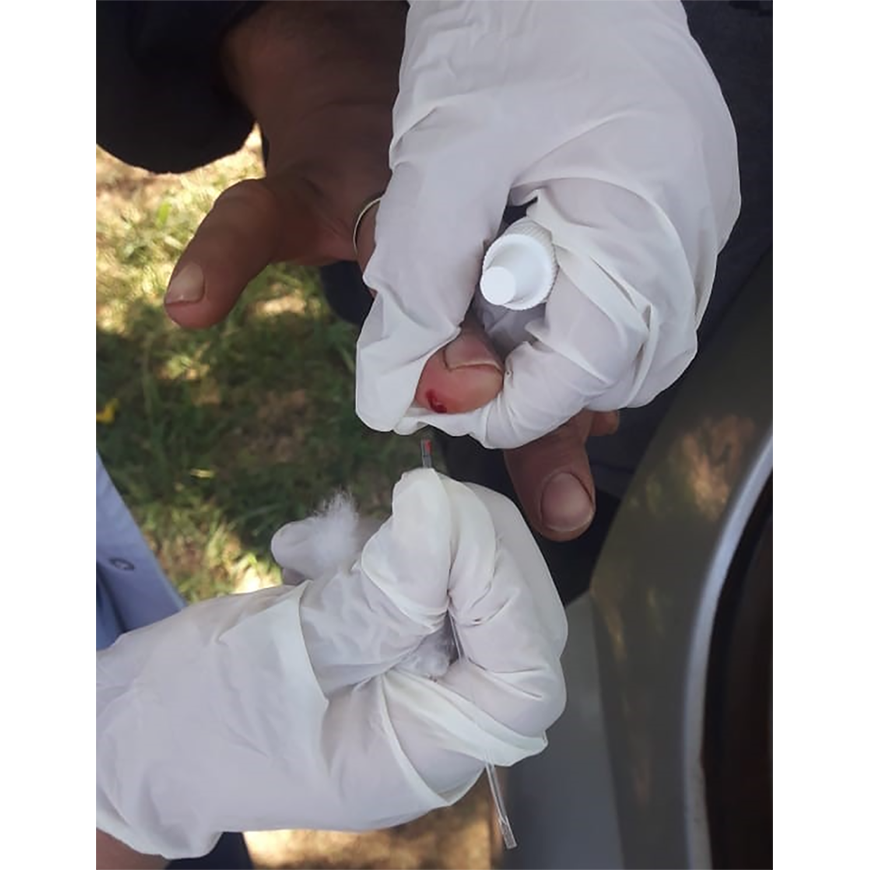 Más de 1600 personas testadas en Ciudad del Este – 05-11-2020