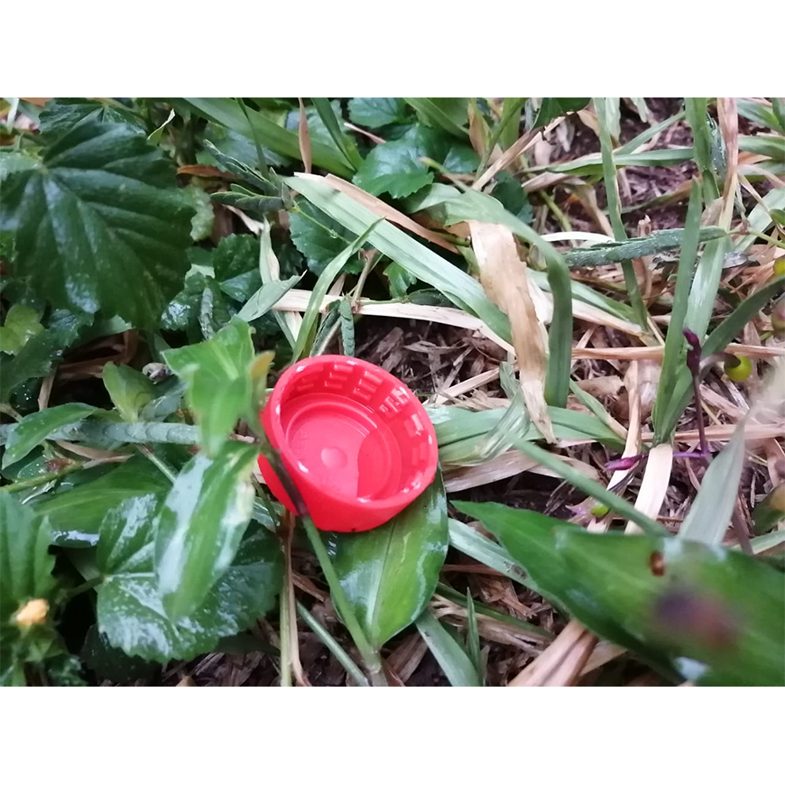 Notificaciones de dengue en aumento A eliminar los criaderos – 09-11-2020