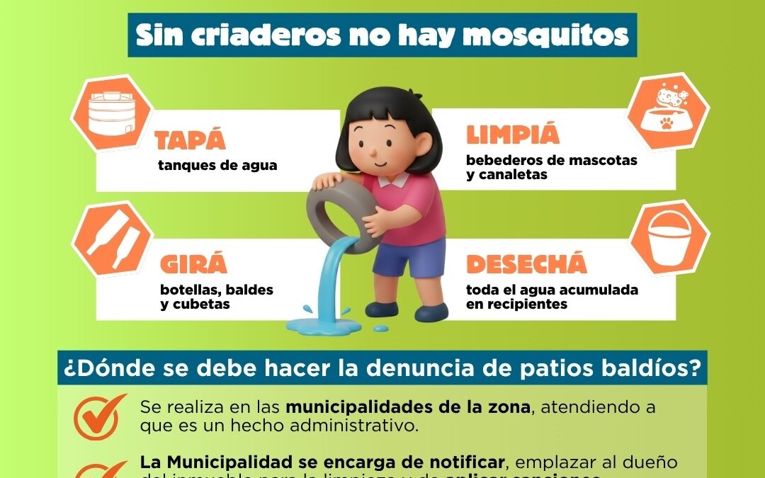 Sin casos de dengue, pero con aumento de notificaciones