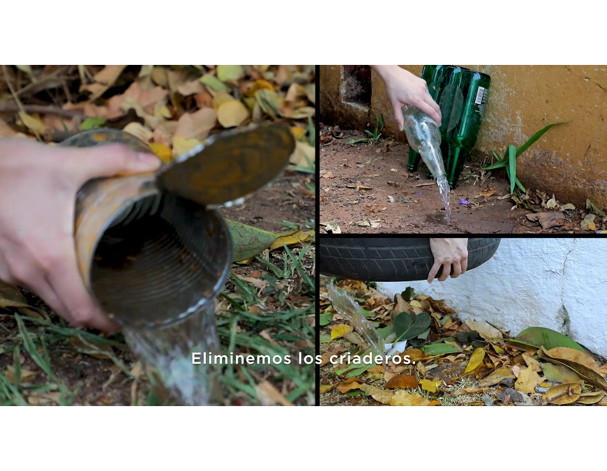 26 de agosto: día internacional contra el dengue