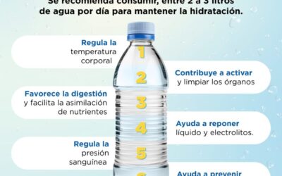 Hidratación constante para hacerle frente al calor