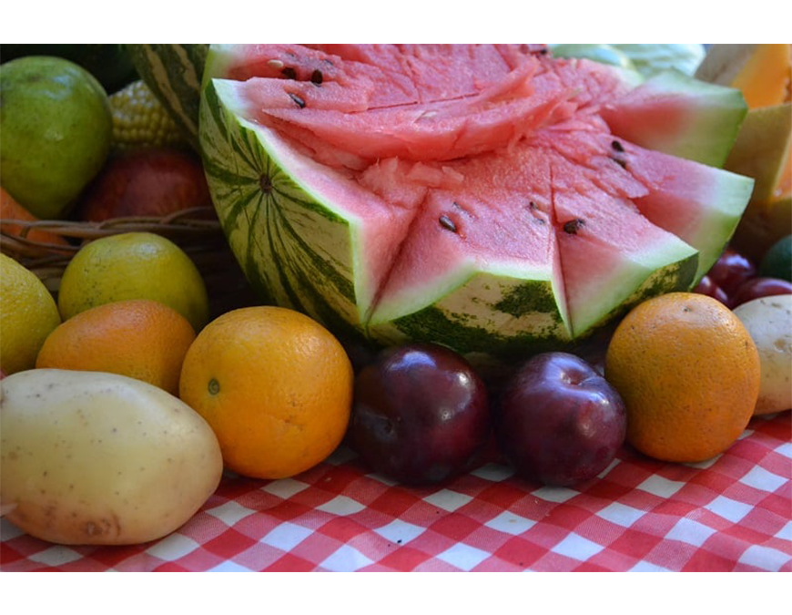 Cómo debemos alimentarnos en verano