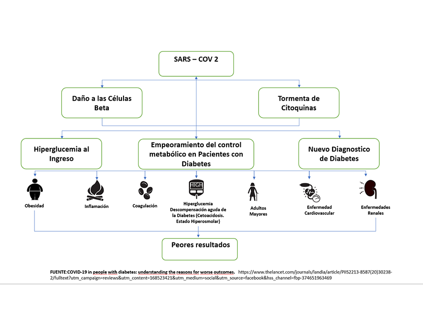Complicaciones que causa el SARS-CoV2 en personas con diabetes