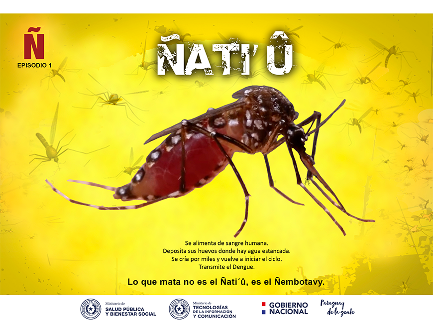 Concepción es epicentro de casos de dengue