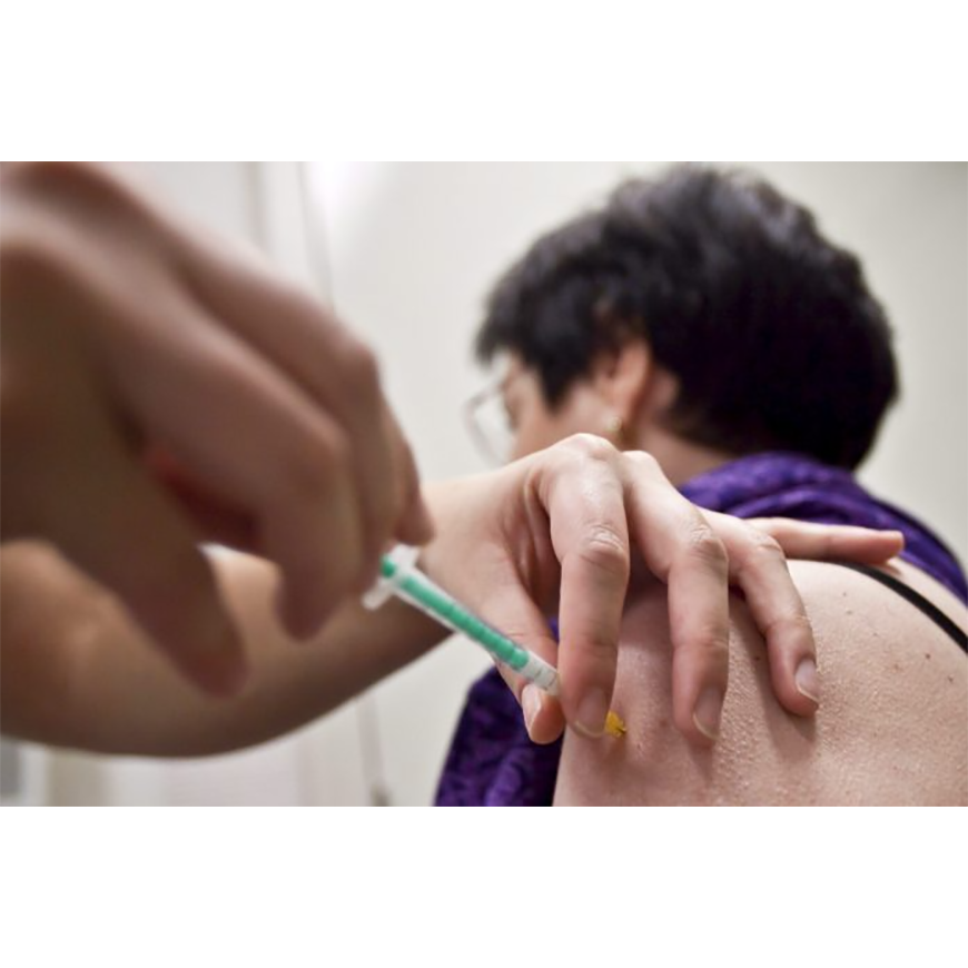 Confirman caso de fiebre amarilla en Santa Catarina – 02-02-2021