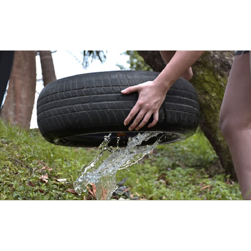 Dengue Paraguay supera las 300 notificaciones por semana – 19-01-2022