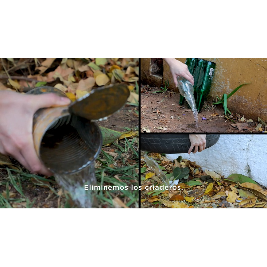 Dengue a puertas de iniciar un nuevo ciclo epidémico – 30-09-2021