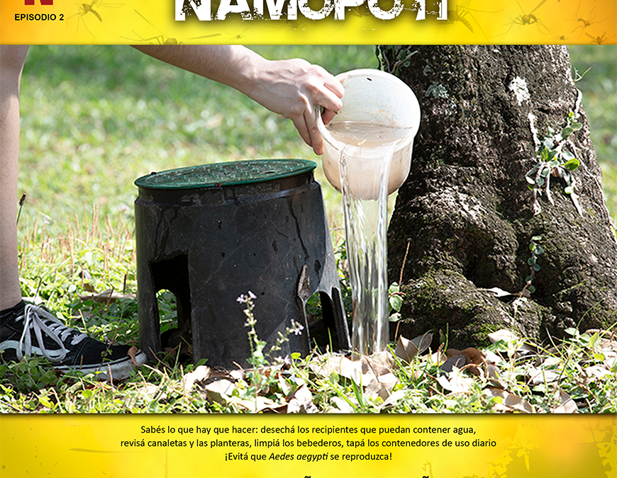 Dengue avanza: casos sospechosos se verifican en todo el país