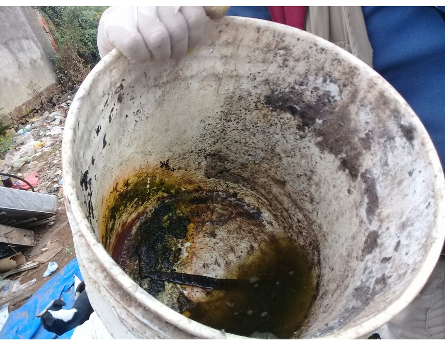 Dengue: notificaciones de cuadros sospechosos llegan a 335 por semana