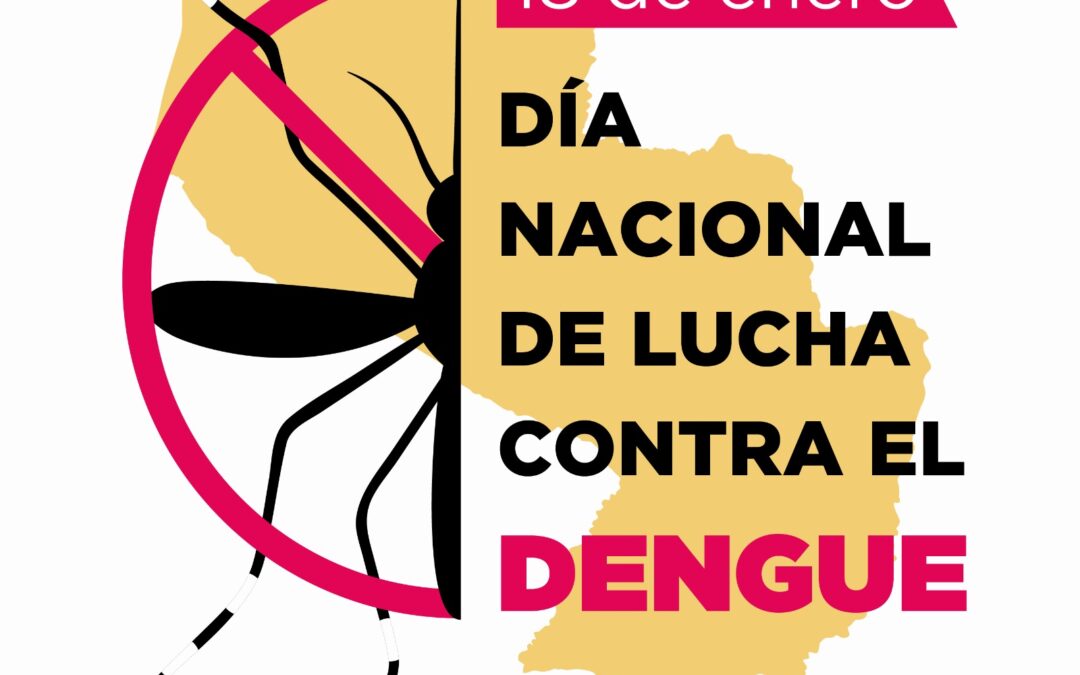 Hoy se recuerda el “Día Nacional de Lucha contra el Dengue