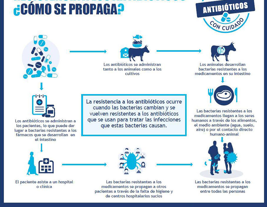 El uso inadecuado de antibióticos pone en riesgo su salud