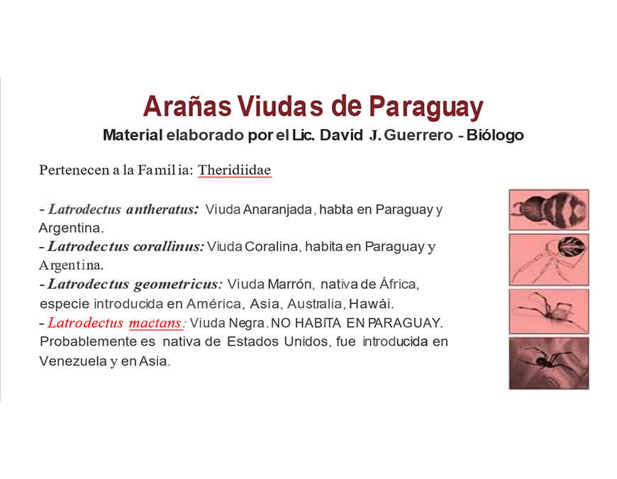 Es obligatoria la notificación de envenenamiento por arañas y otros animales ponzoñosos