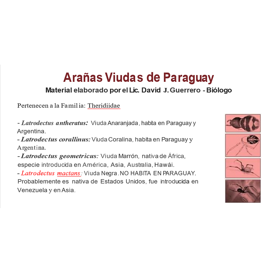 Es obligatoria la notificación de envenenamiento por arañas y otros animales ponzoñosos – 28-12-2020
