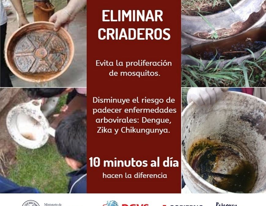 Notificaciones de dengue se registran en todos los departamentos