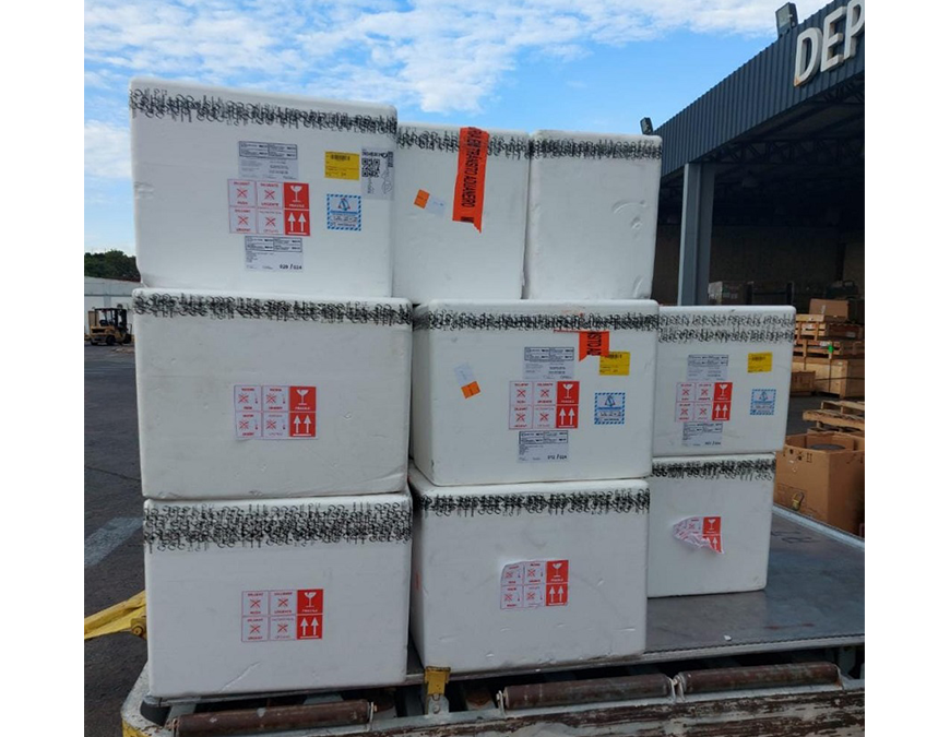 Paraguay adquirió cien mil dosis contra Fiebre Amarilla