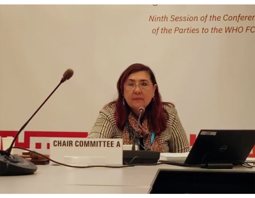 Paraguay presente en Conferencia de las Partes de la OMS, en Ginebra