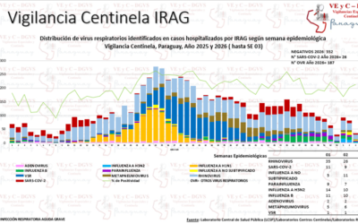 Ligera disminución de consultas ambulatorias por cuadros respiratorios