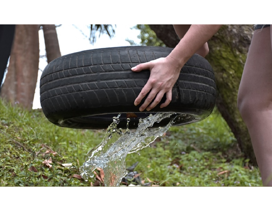 Riesgo de dengue está latente: urge destrucción de criaderos para frenar expansión