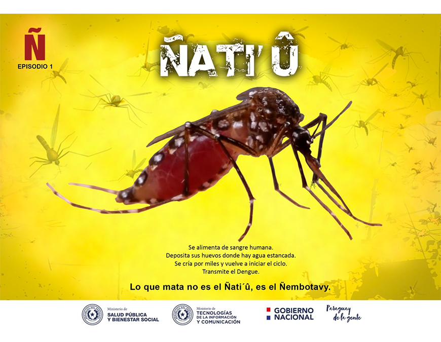 Se detectó un caso de dengue en San Pedro