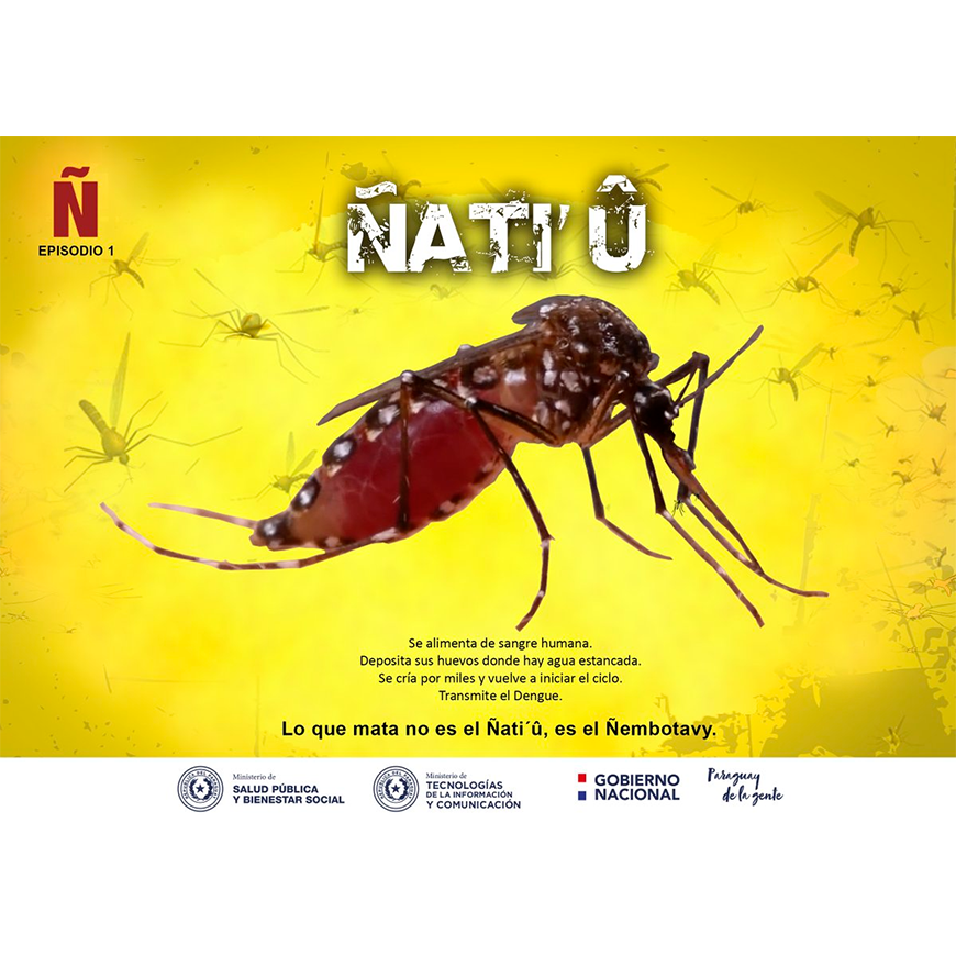 Se detectó un caso de dengue en San Pedro – 14-12-2020