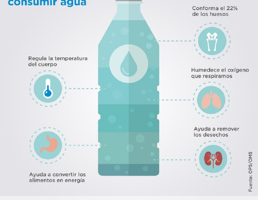 Tomar agua es esencial todos los días, todo el año