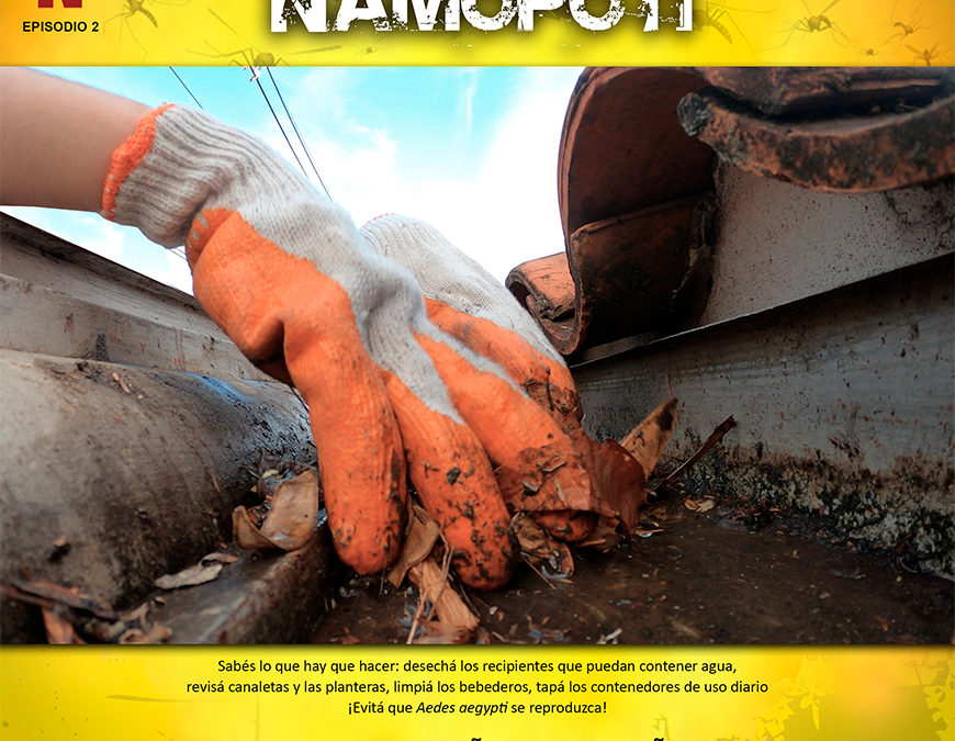 Unas 738 personas enfermaron de dengue este año