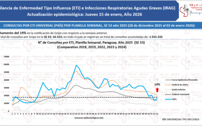 Circulación activa de virus respiratorios muestra atípico crecimiento de consultas