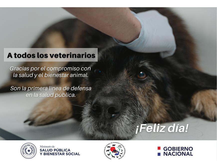 Veterinaria: una profesión de entrega, amor y compromiso con el bienestar animal