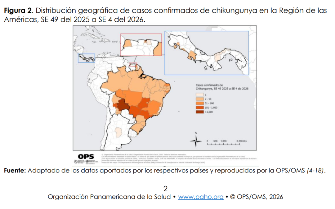 Alerta epidemiológica por chikungunya en las Américas