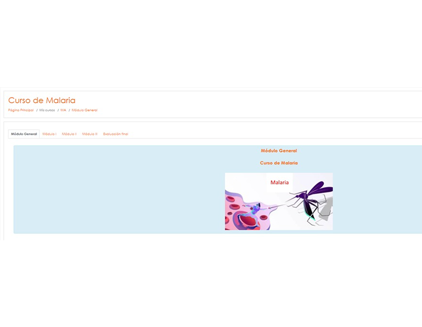 Capacitación virtual de malaria culmina este martes