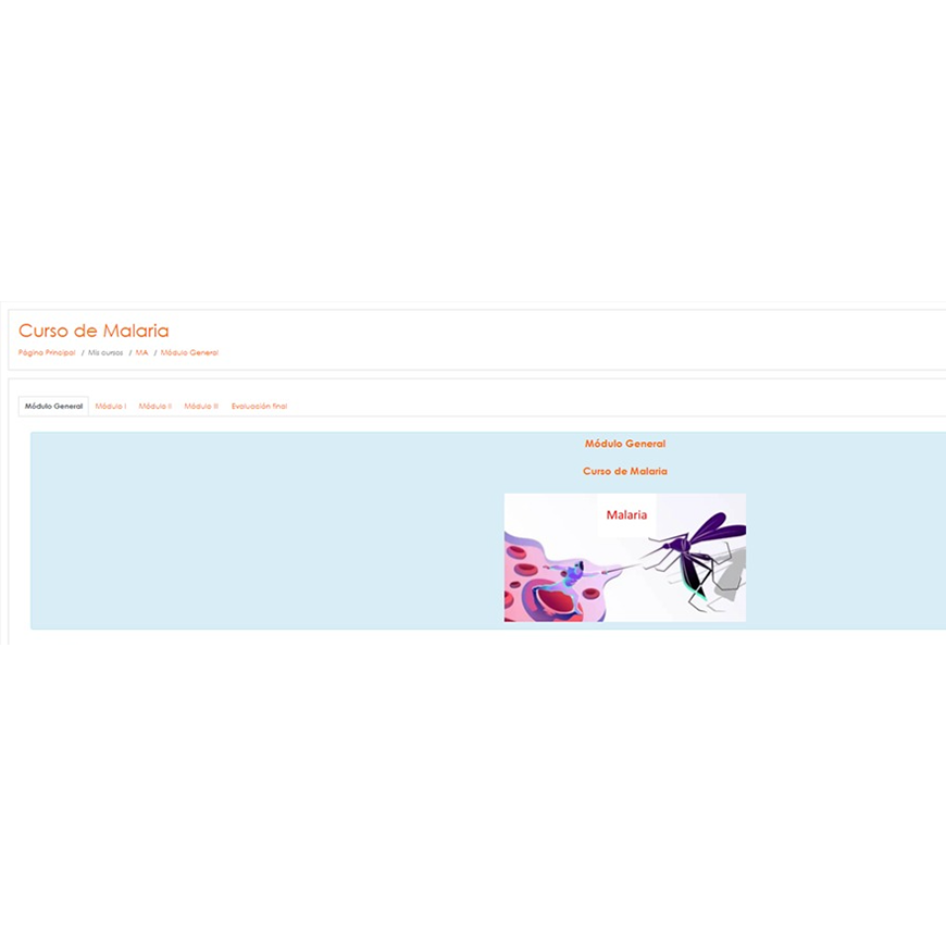 Capacitación virtual de malaria culmina este martes – 30-05-2022