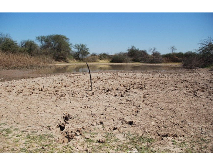 Chaco en emergencia por sequía