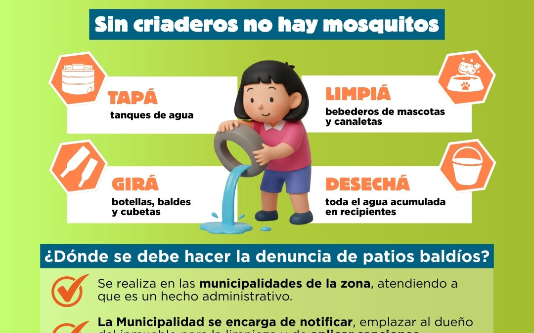 Dengue: circulación activa, con aumento en 11 regiones del país