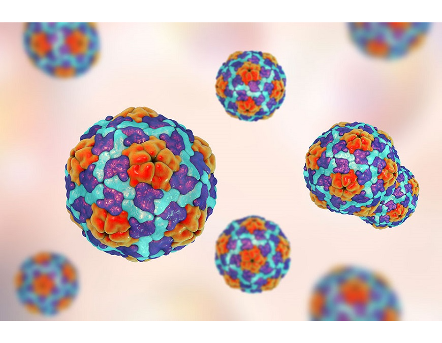 Hepatitis aguda: Hasta el momento no se identifica el agente etiológico causante