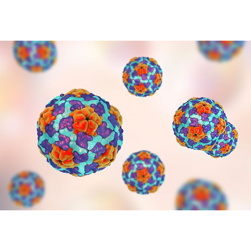 Hepatitis aguda Hasta el momento no se identifica el agente etiológico causante – 11-05-2022