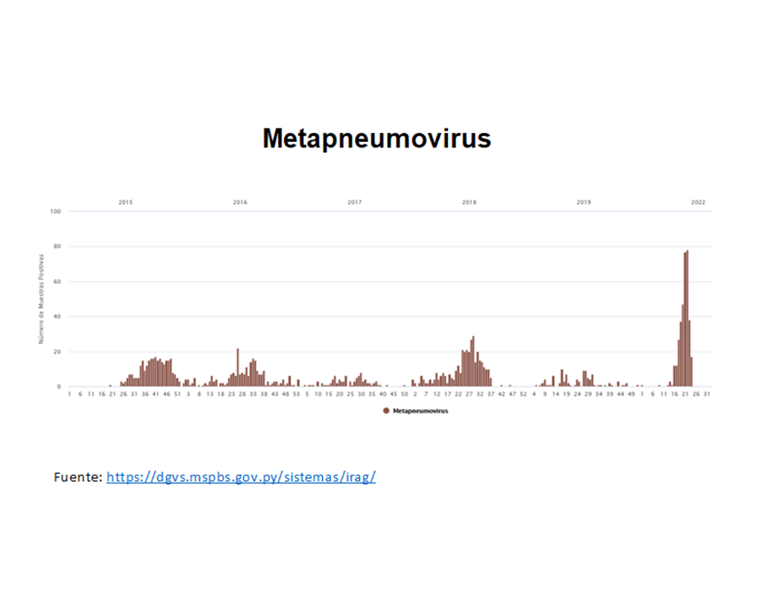 Incrementan las infecciones respiratorias por Metapneumovirus