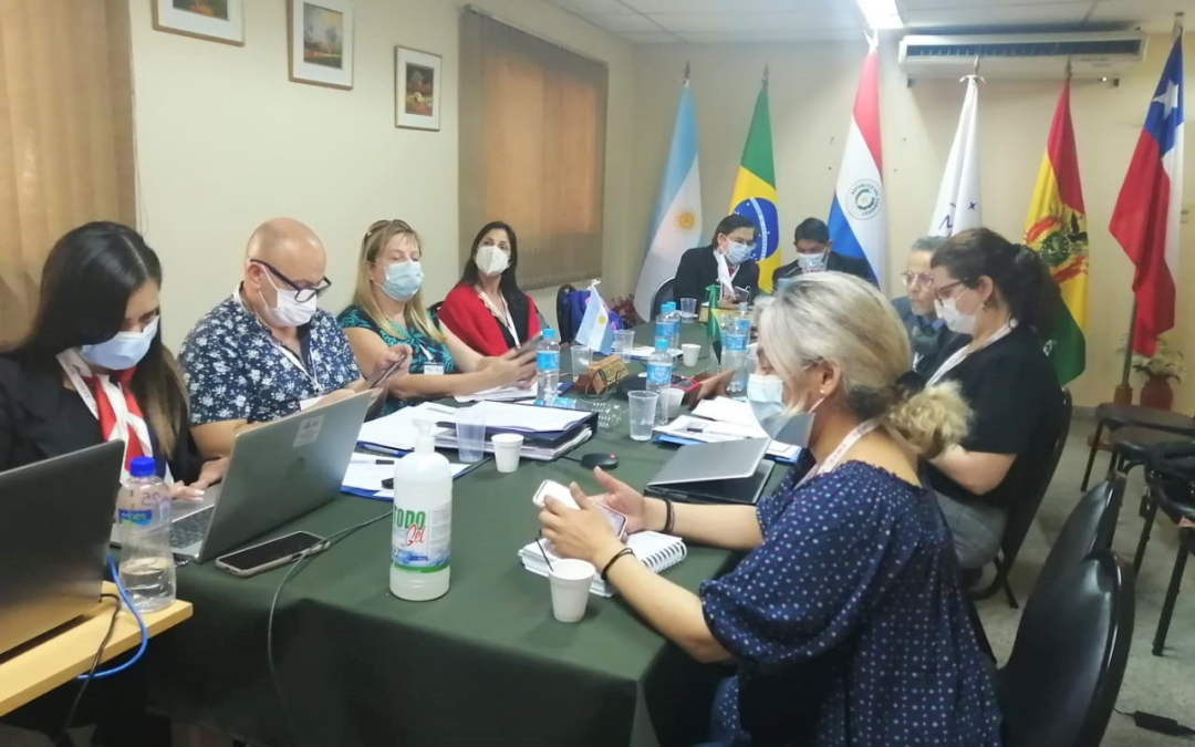 MERCOSUR: Paraguay anfitrión de la LVI Reunión Ordinaria del Subgrupo de Trabajo 11 – Salud