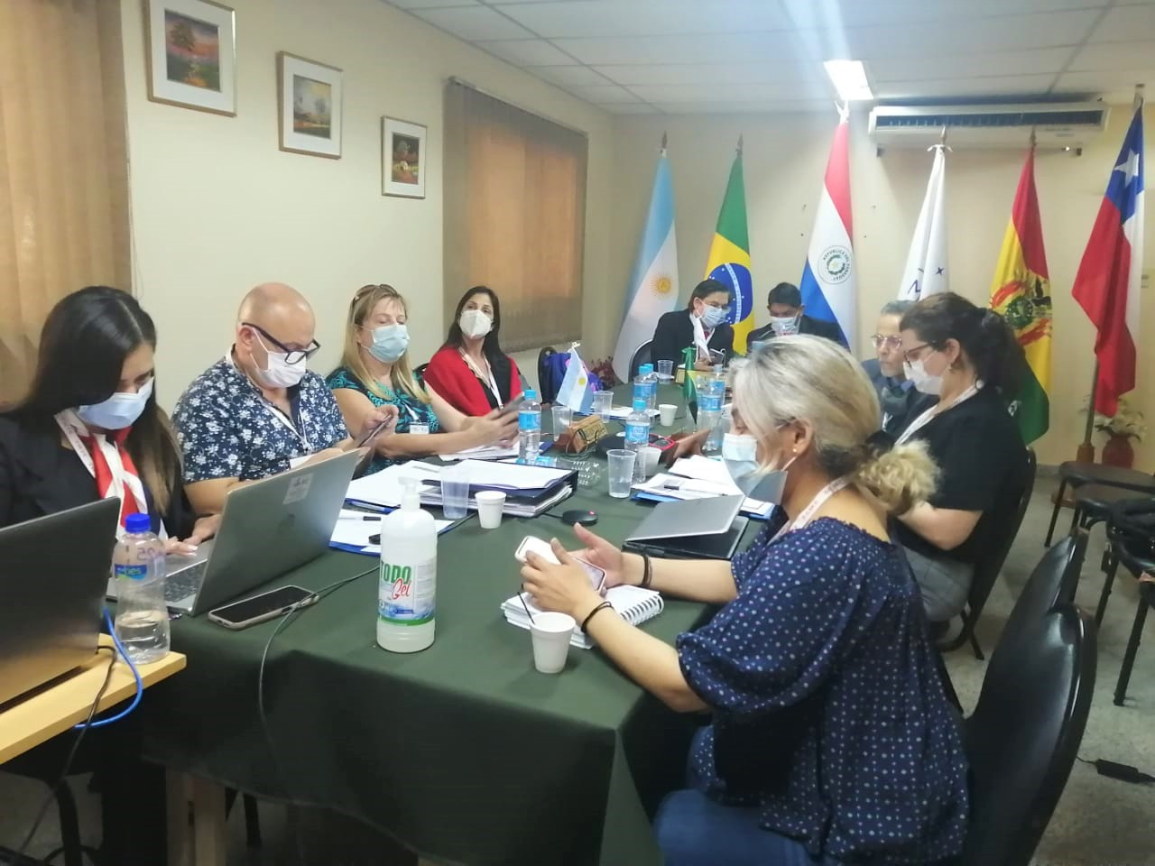 MERCOSUR Paraguay anfitrión de la LVI Reunión Ordinaria del Subgrupo de Trabajo 11 – Salud – 25-04-2022