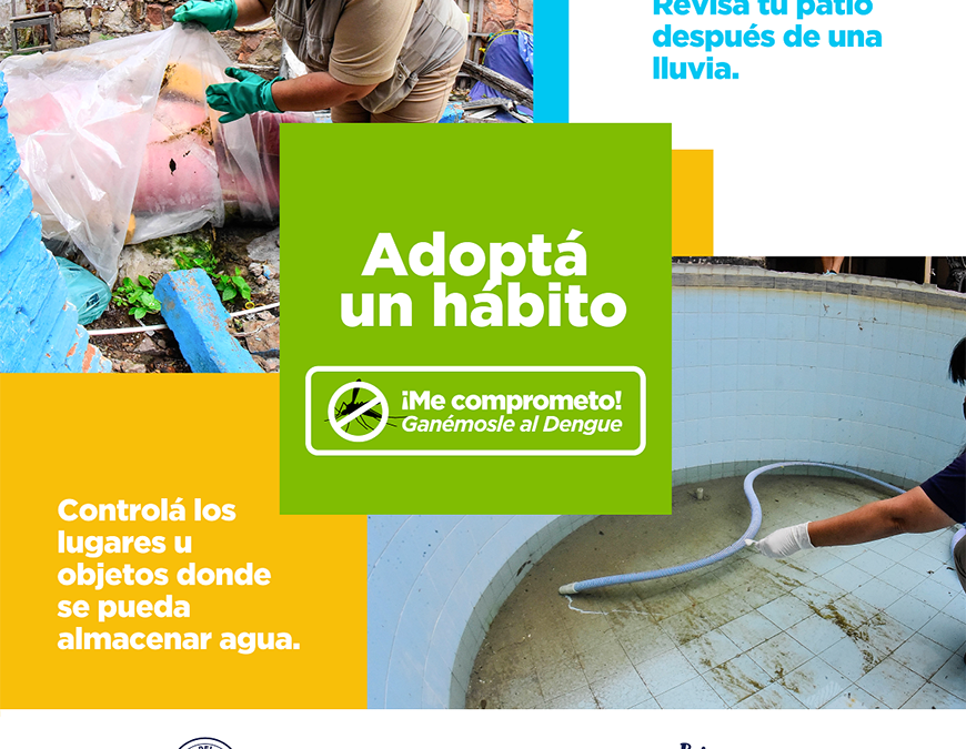 No abandones la búsqueda y eliminación de criaderos, sobre todo después de las lluvias