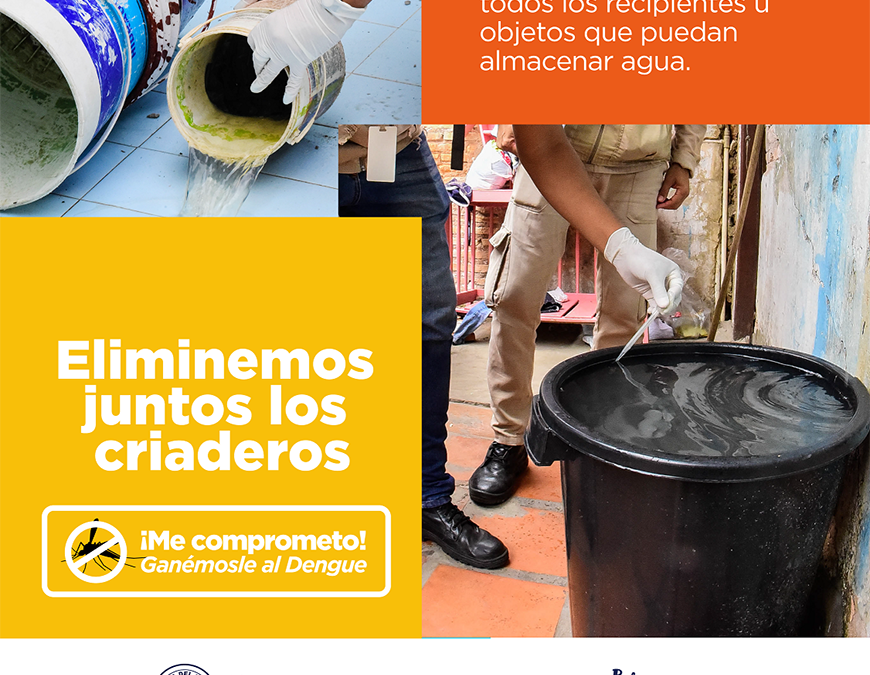 Notificaciones de dengue en descenso