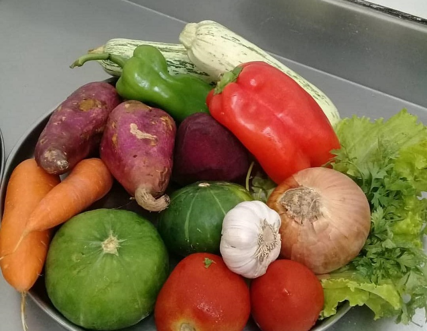 Recomendaciones para reforzar las defensas y hacer frente a las enfermedades respiratorias