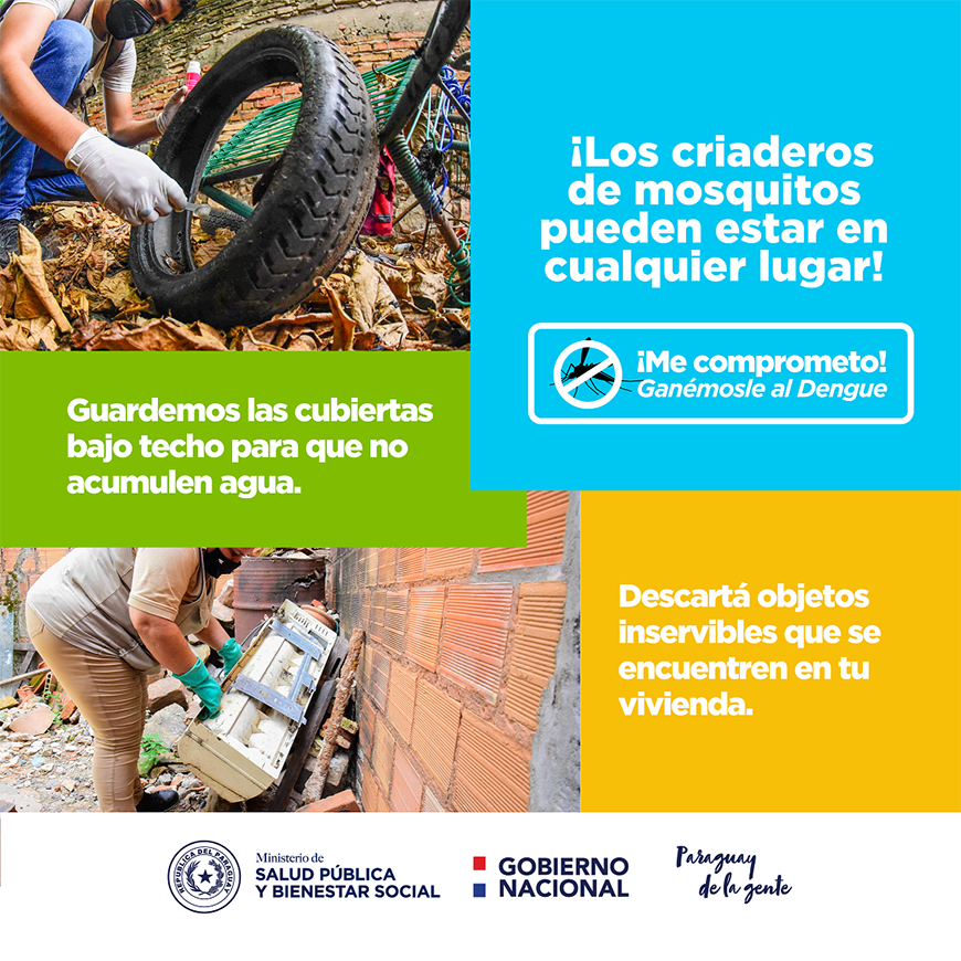 Se confirman dos casos de chikungunya, y el dengue avanza – 20-04-2022