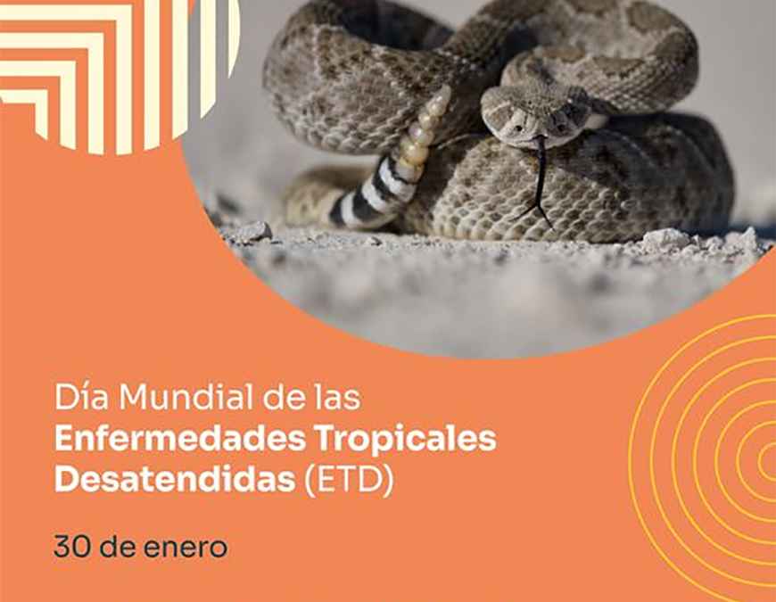 Sepa qué hacer si fue mordido o picado por un animal ponzoñoso