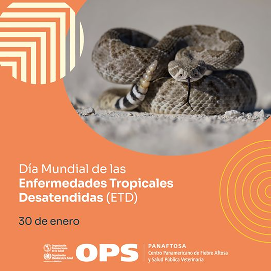 Sepa qué hacer si fue mordido o picado por un animal ponzoñoso – 30-01-2022