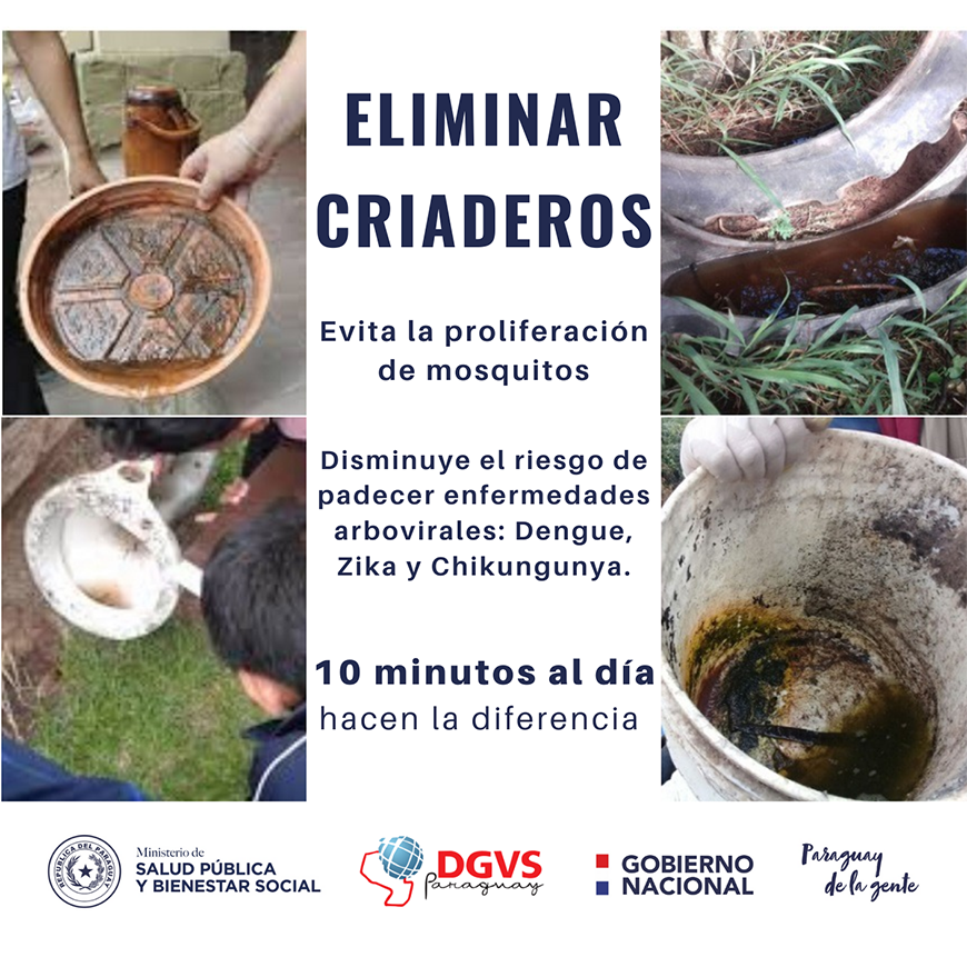 Todo lo que de debes saber acerca de las enfermedades transmitidas por mosquitos – 21-04-2022