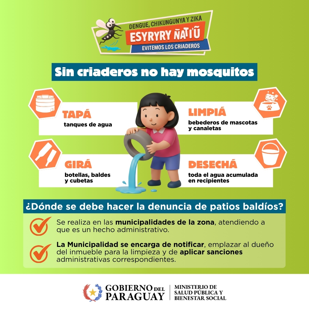 Flyer 3.