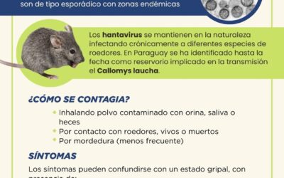 Hantavirus en Paraguay: situación actual, transmisión, síntomas y prevención